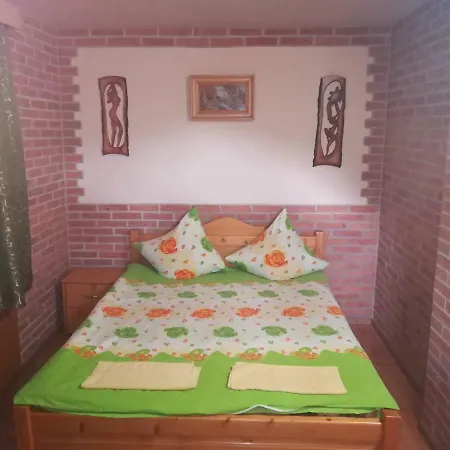 农家乐 Pensiunea Colt Alb Băile Homorod